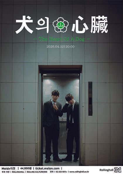 롤링 31주년 기념공연, 산만한시선 단독 콘서트: 개의 심장