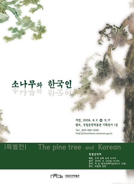 소나무와 한국인