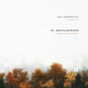 Adagio and Allegro, Op. 70