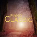 밤 하늘 아래서